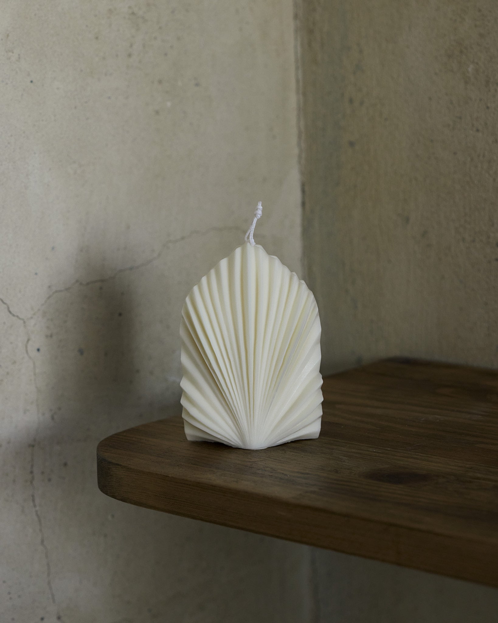 נר ״צדף המניפה״